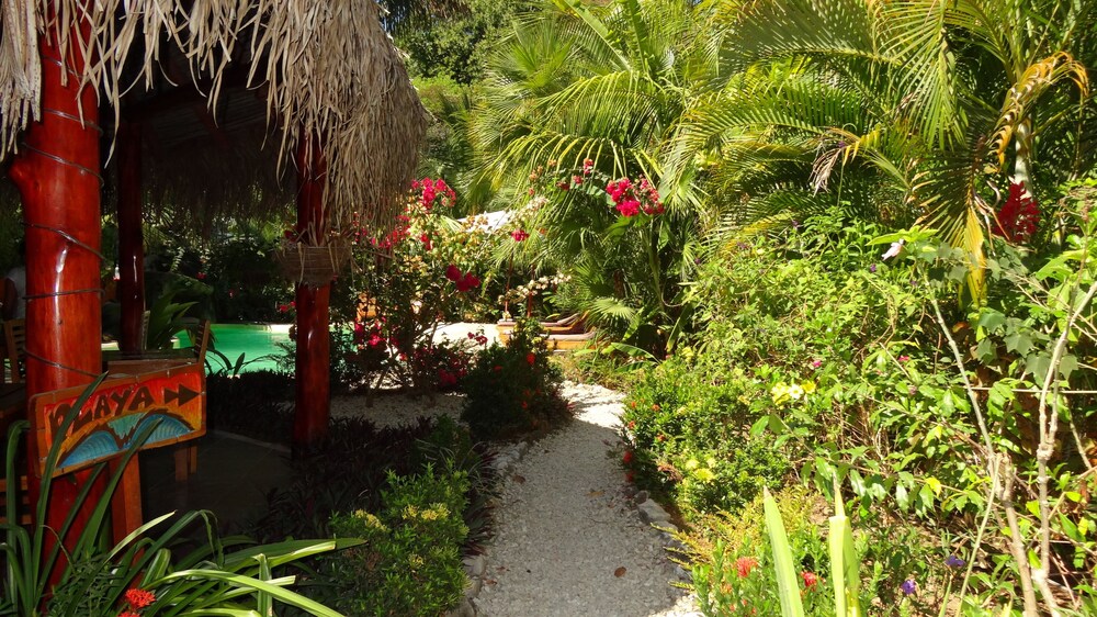 Hotel El Pequeño Gecko Verde