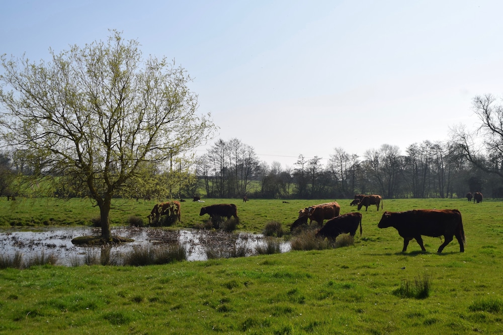 At the Farmhouse Hunters Hall