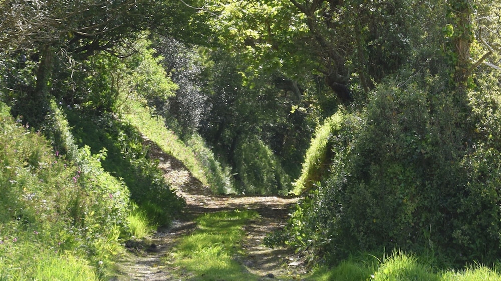 Photo 25