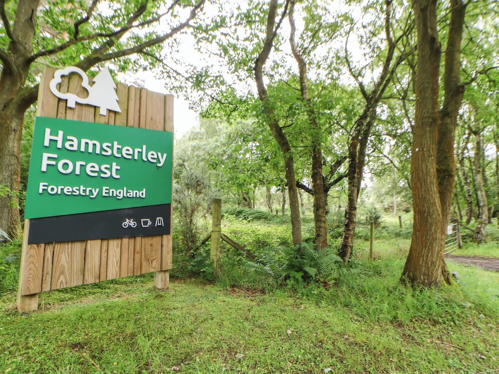 Forestside View