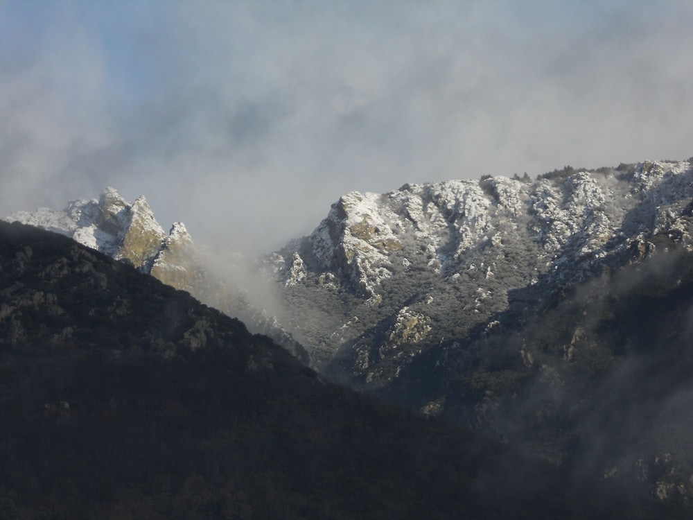 Photo 47