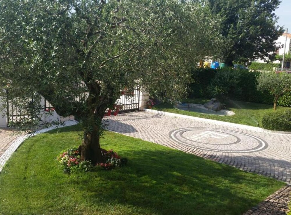 Apartments Alenka