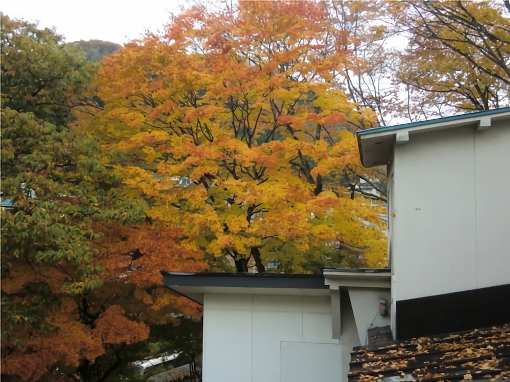 Onsen Guesthouse Sakaeya
