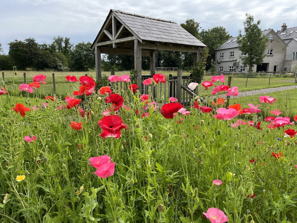 Ashbrook House B&B