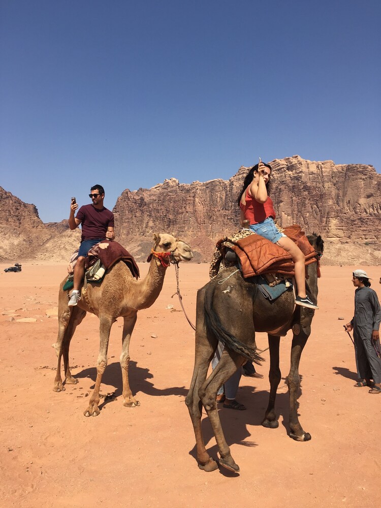 camp Nights stars