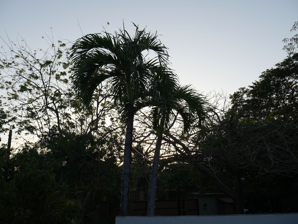 Cote Pacific Casitas