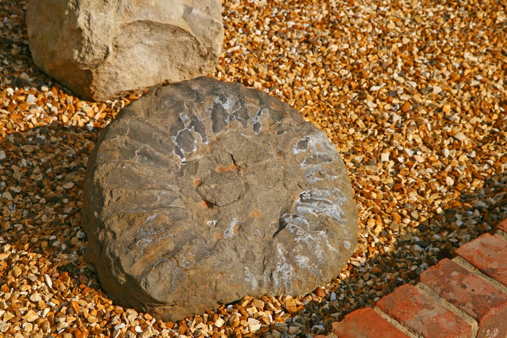 Photo 45