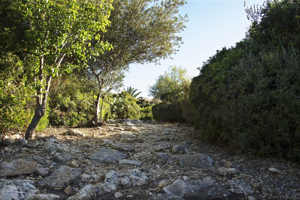 Photo 45