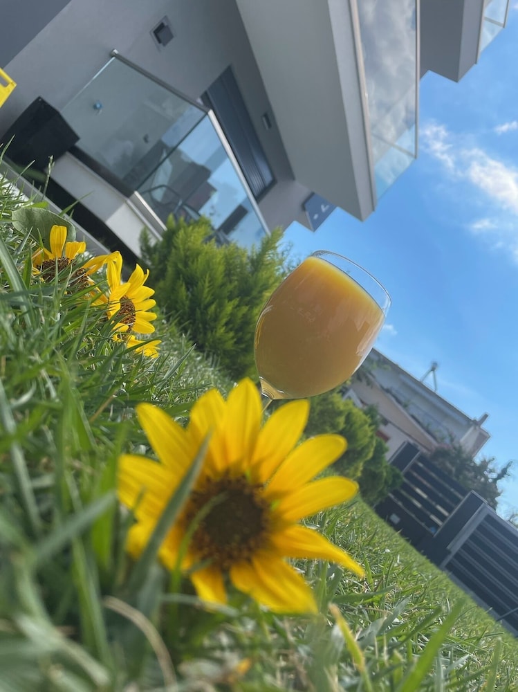 LUXSUITES