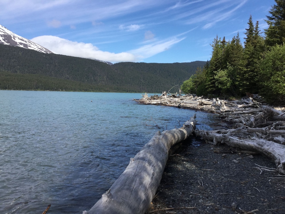 Renfro's Lakeside Retreat - Cabin's and R.V. Park