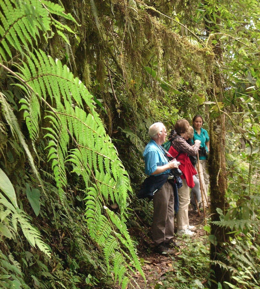 Bellavista Cloud Forest Reserve & Lodge