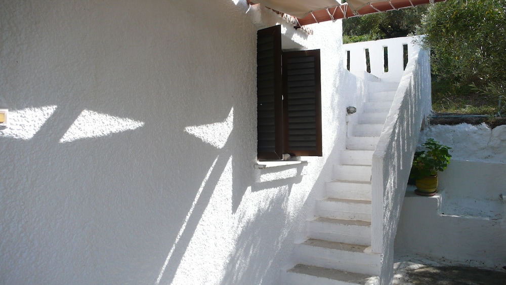 Stefanos Garden