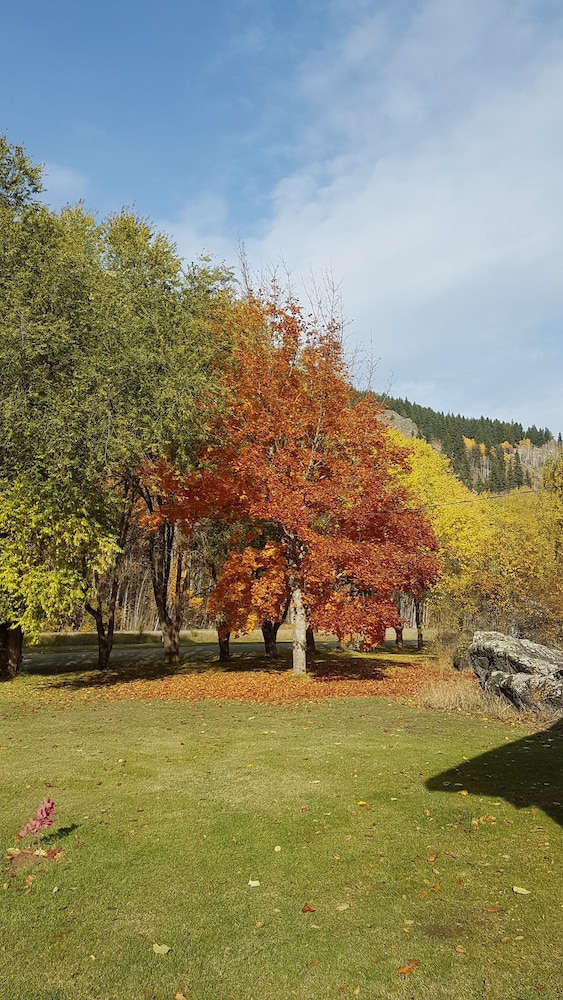 Rivermount Motel Campground and RV Park