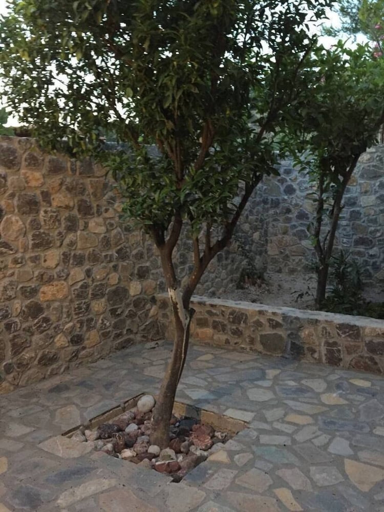 Photo 44