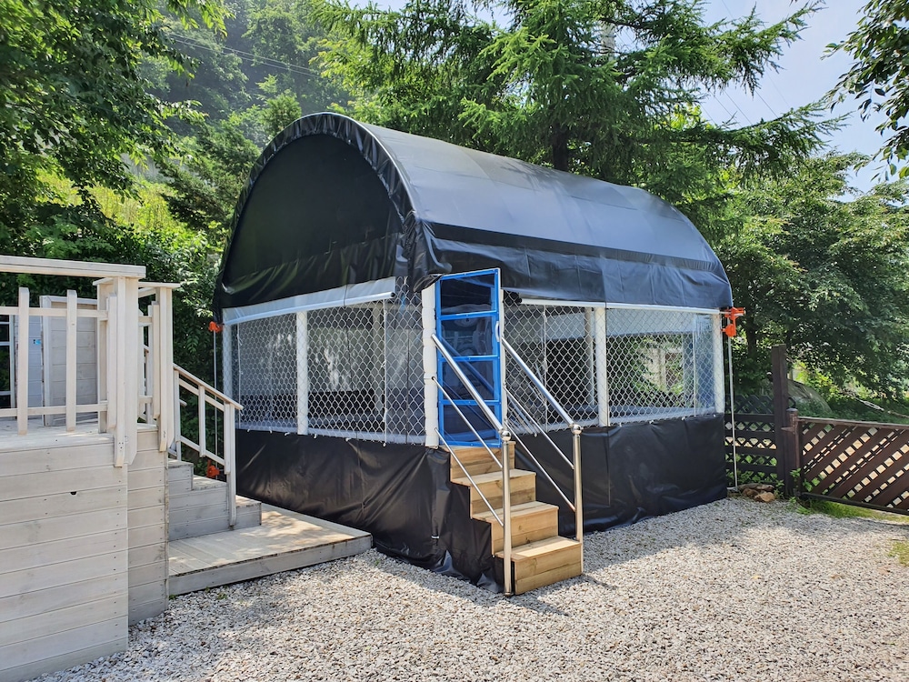 Pension Dal