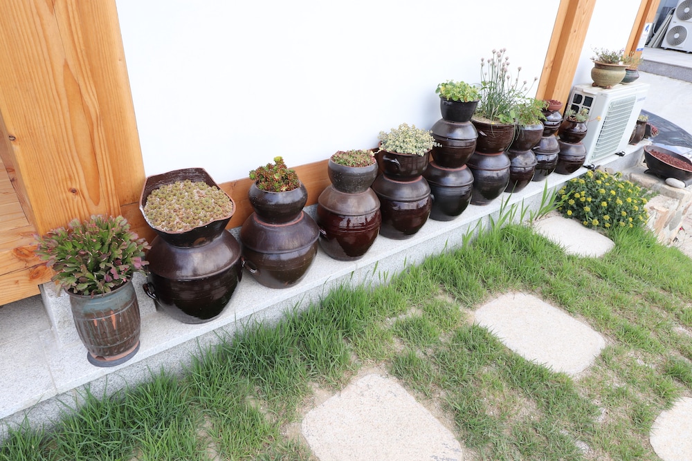 Nadul Hanok