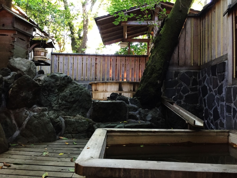 Sakoya -Yoshino- view 3