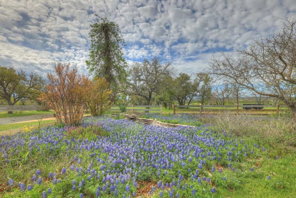 Family-friendly Hill Country Retreat Sleeps 11 + Hot Tubs