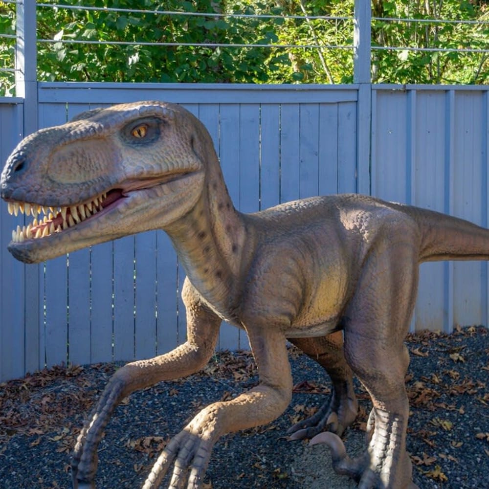 Jurassic Themed Adventure 4BR Home With Hot Tub