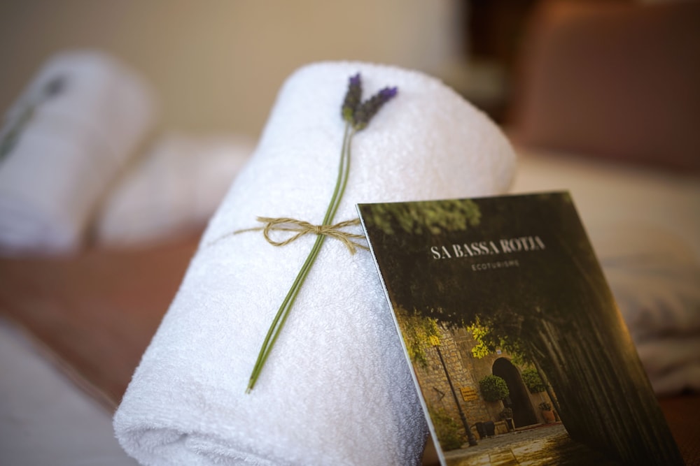 Hotel Sa Bassa Rotja Ecoturisme
