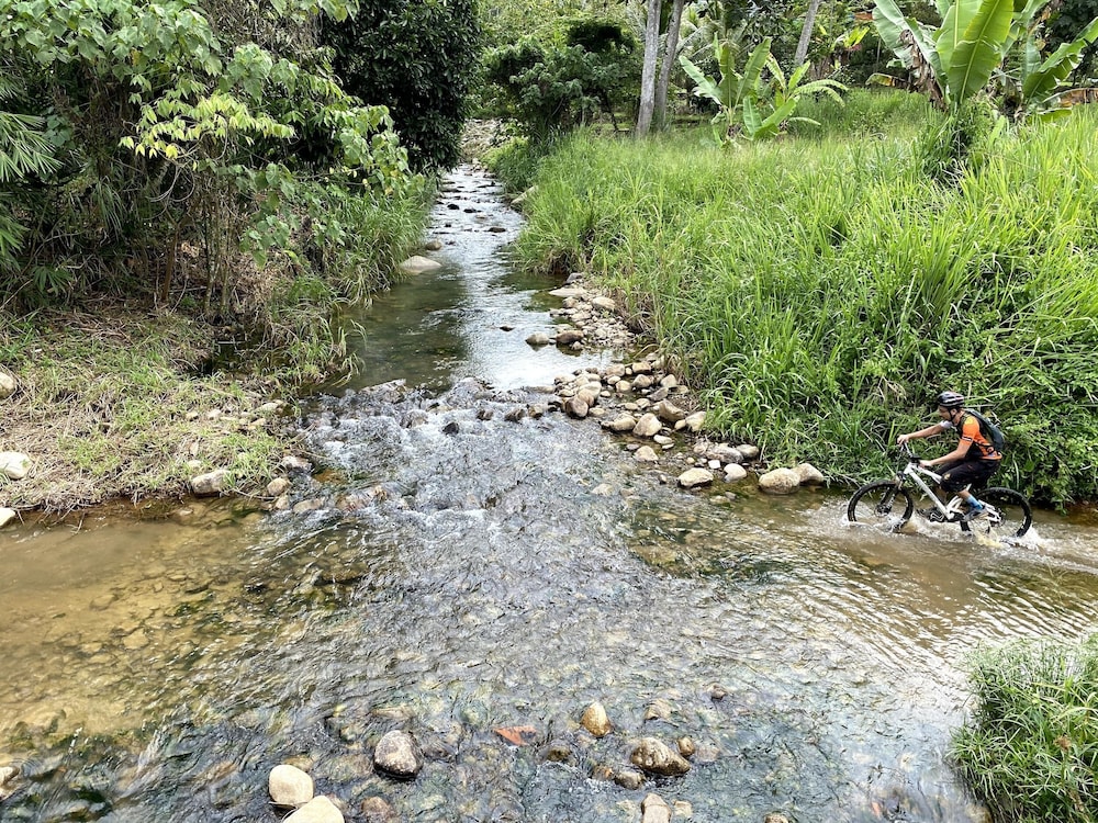 Photo 13
