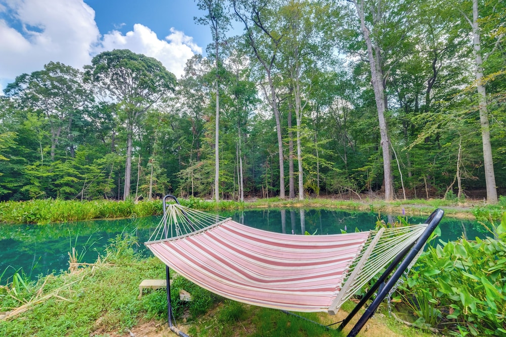 1/2 Acre Pond, Rec Room! Private Oasis in Nanjemoy