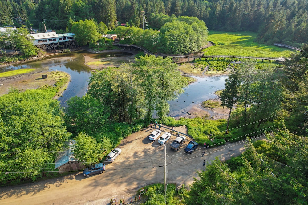 Salmon Return & Wildlife Roam: Ketchikan Getaway!