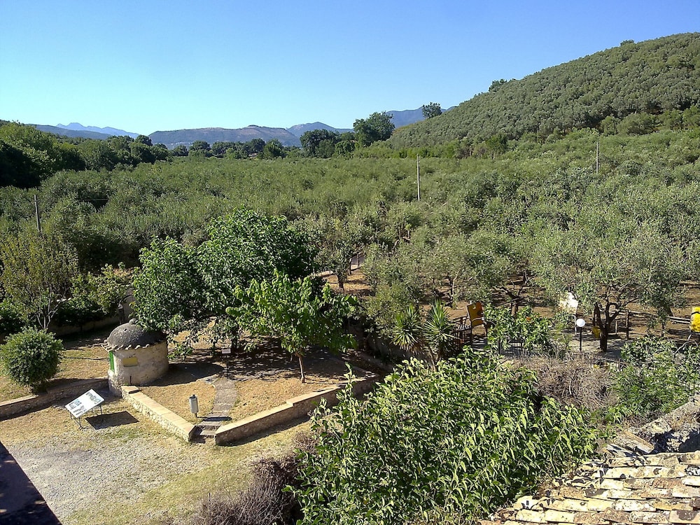 Photo 21