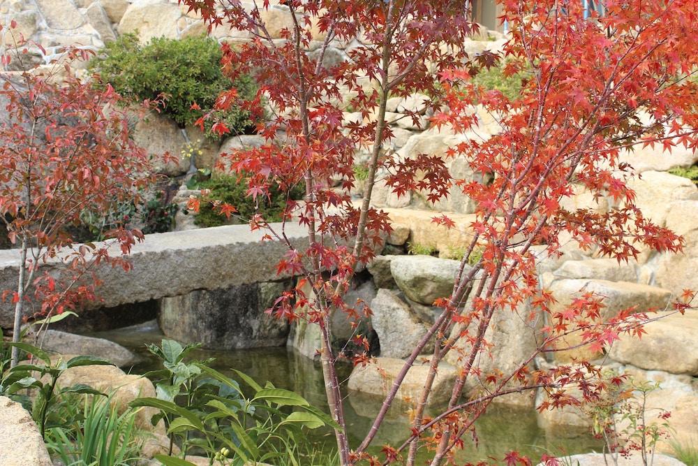 MIYAJIMA BEXTUTEI HATAGOSAKURA