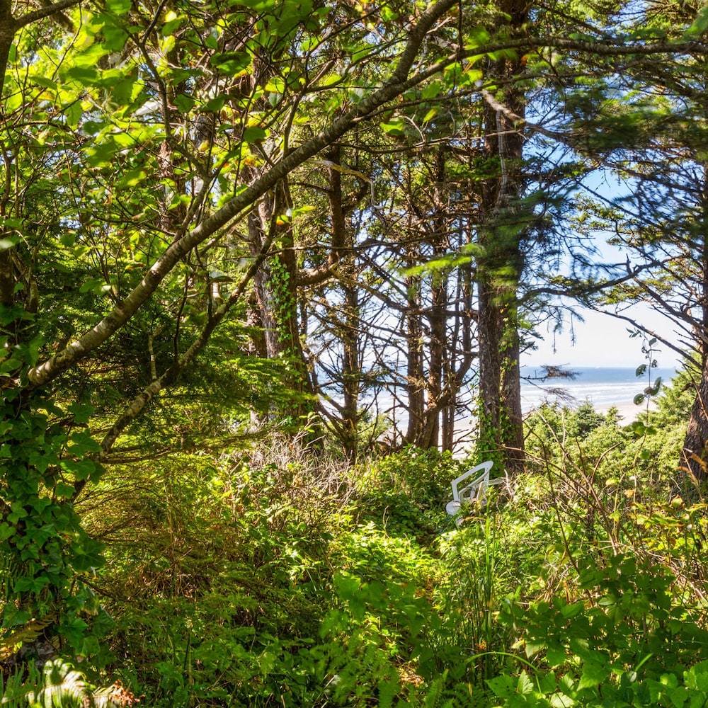 Sandcastle Bluff in Moclips