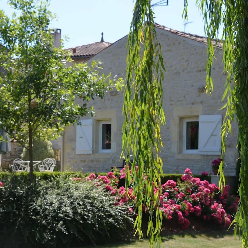 Photo 20