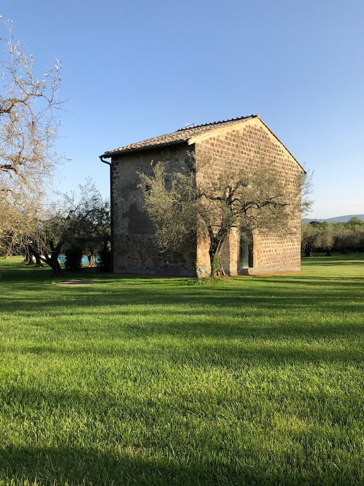 New Estate of Joy a Magnificent Historic Villa Near Rome on Glorious Ground Pool and Olives Galore