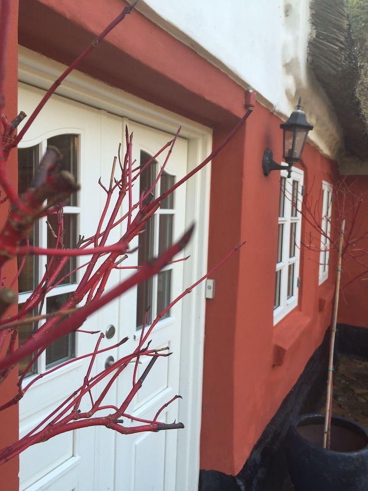 Alsbrogaard Deluxe Bed & Breakfast