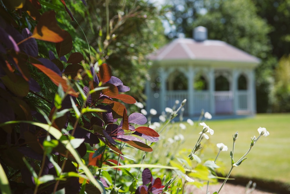 Moorhill House Hotel