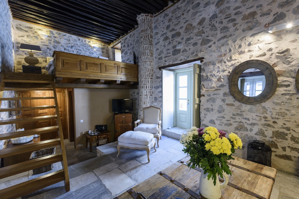 Cotommatae Hydra 1810 photo 5