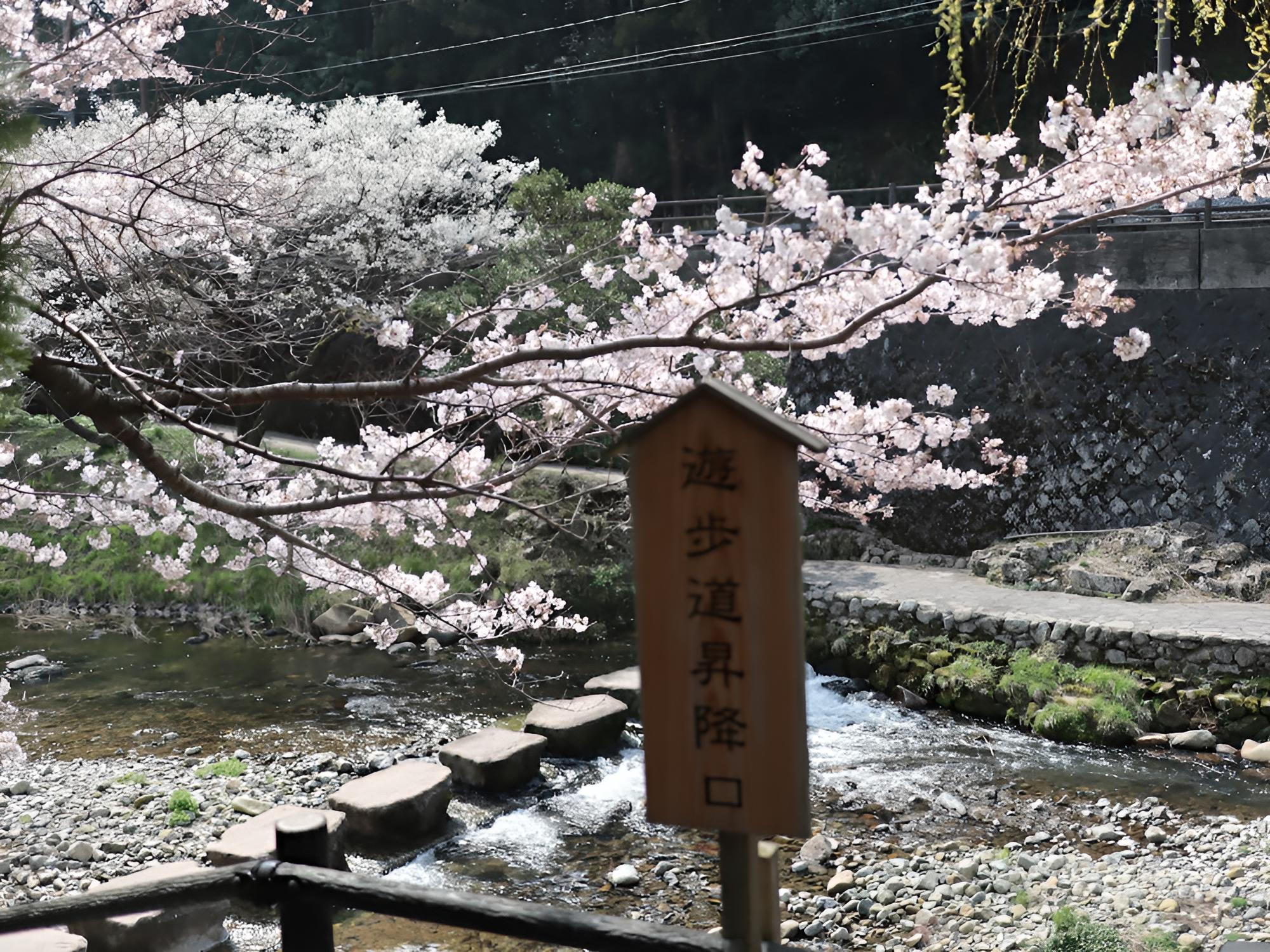 Otanisanso