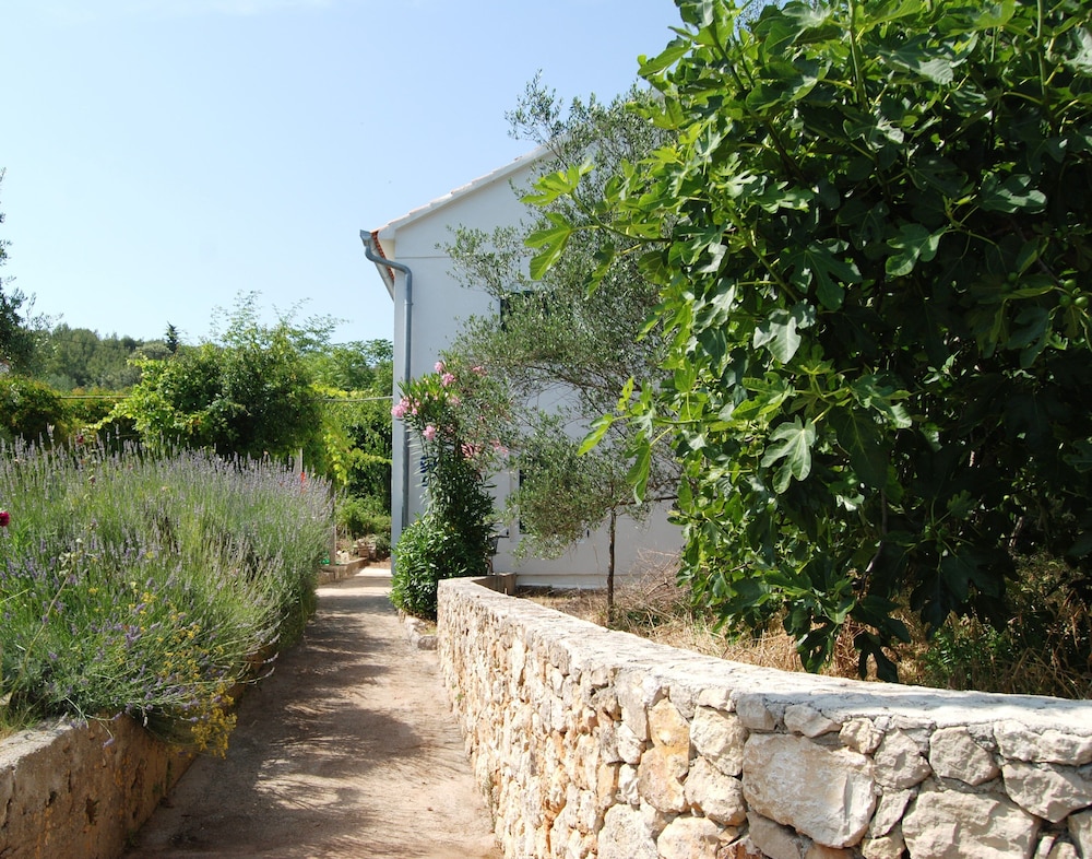 Photo 27
