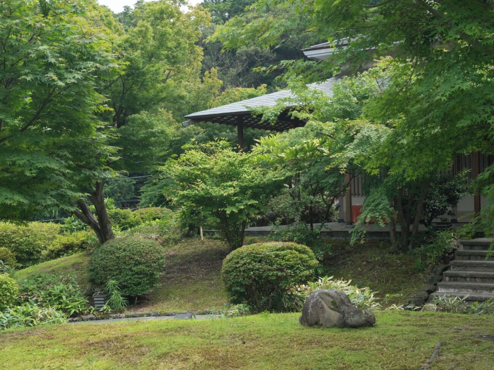 Narashino no sato Gyokusui -6 years or older-