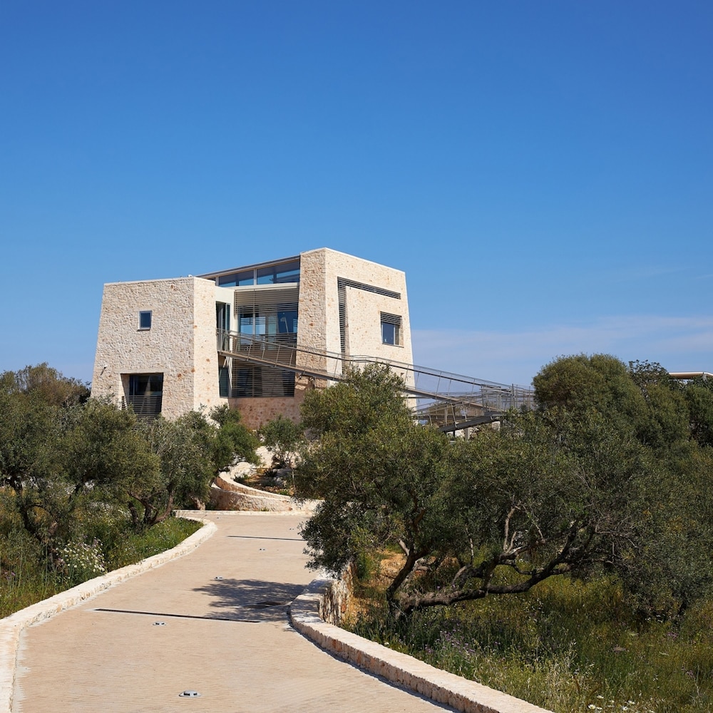 Olives and Thyme Retreat