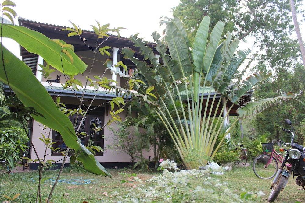 All view resort