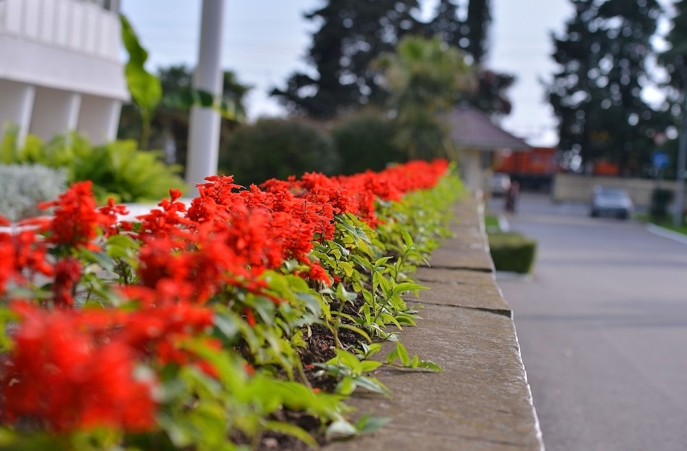 Biruza Health Resort