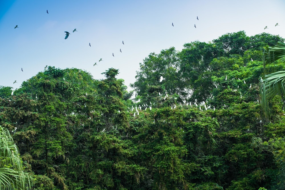 GLOBAL MIGRATORY BIRDS RESORT HOTEL