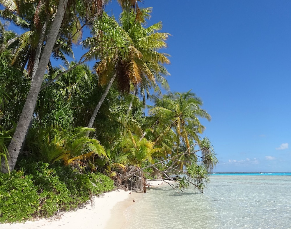 Rangiroa Tiputa Lodge B&B