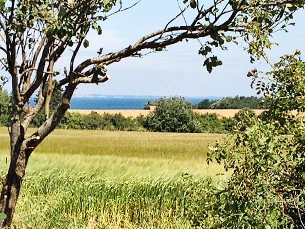 Pet Friendly Holiday Home in Bogense with Hot Tub view 4