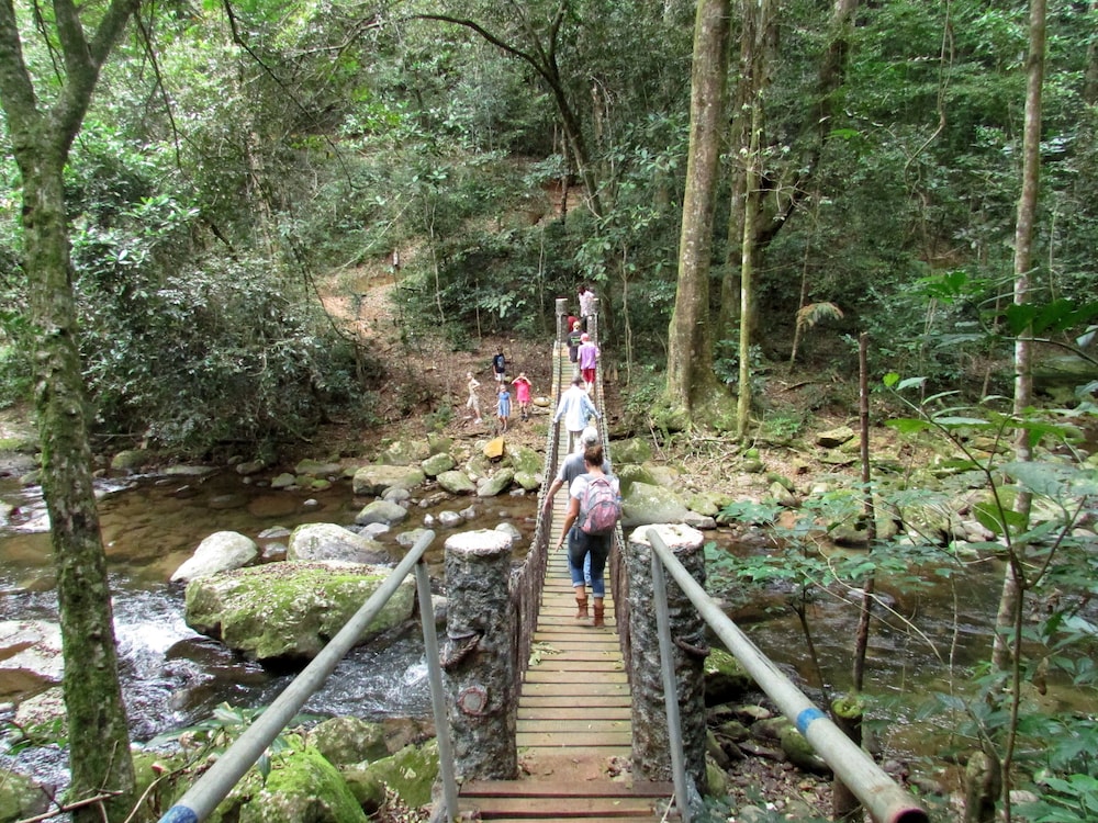 Udzungwa Forest Camp