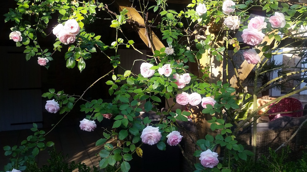 Photo 44