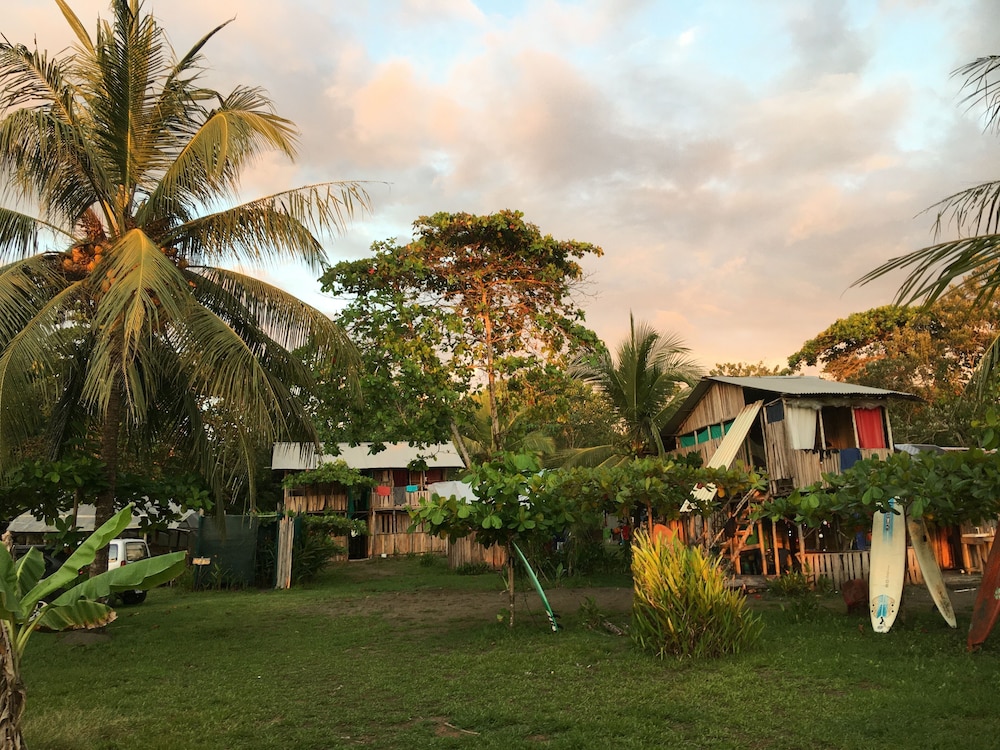 Miguel Surf  Camp