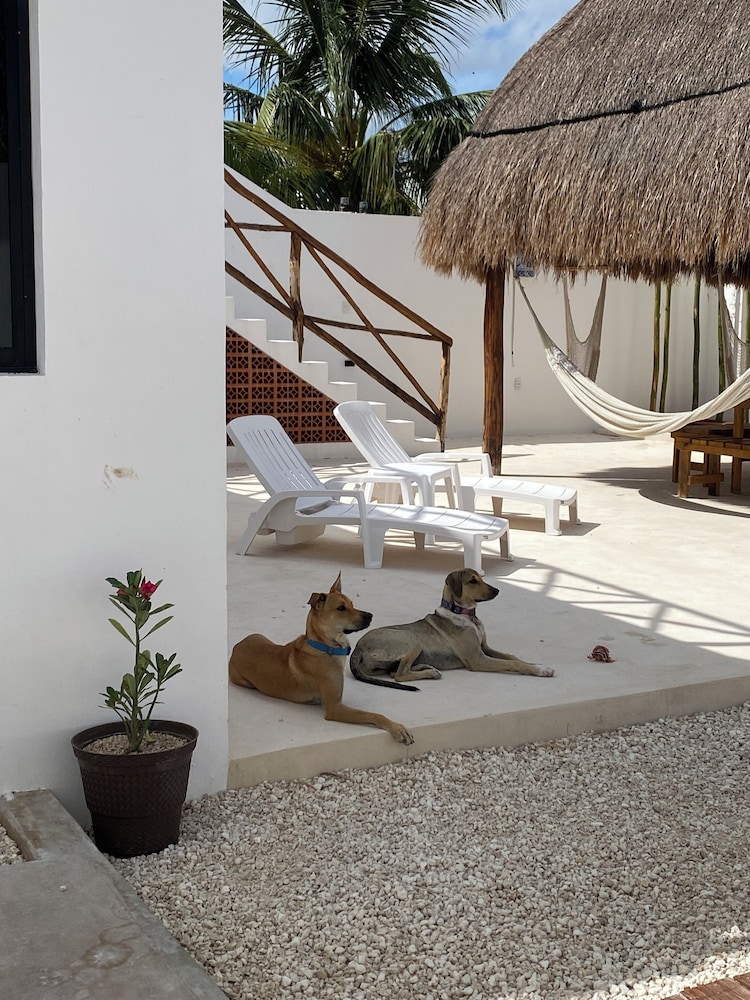 Casa Loto D