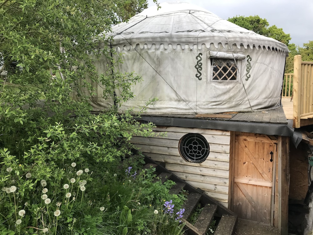 Hapus Yurt - Two Beautiful Yurts and Barn Cottage view 5