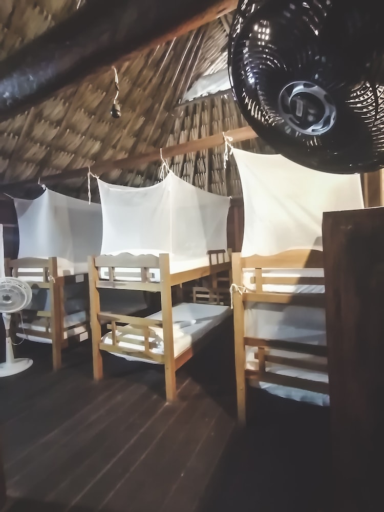 Prima Luna Palomino - Property Image 33